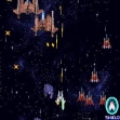 Logo Roms DUEL FIGHTER 2